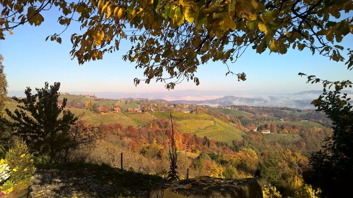 Bilder das kappel wein.gut.hotel