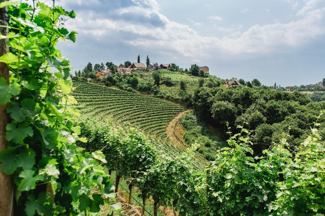 Bilder das kappel wein.gut.hotel