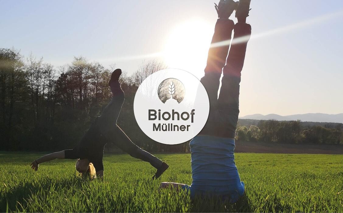 Bilder Biohof Müllner