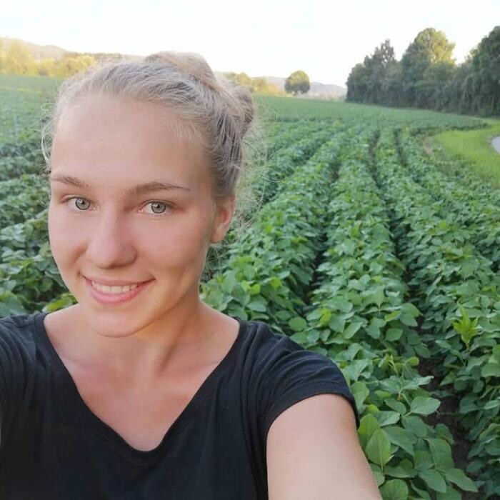 Bilder Biohof Müllner