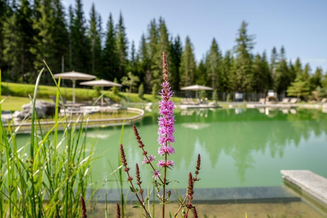Bilder Zugspitz Resort