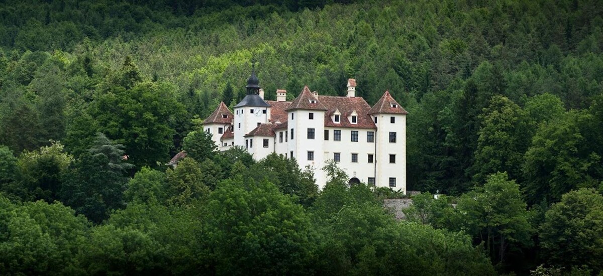 Bilder FriedWald Schöcklland