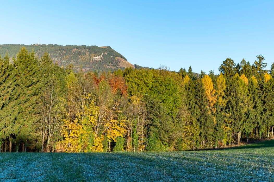 Bilder FriedWald Schöcklland