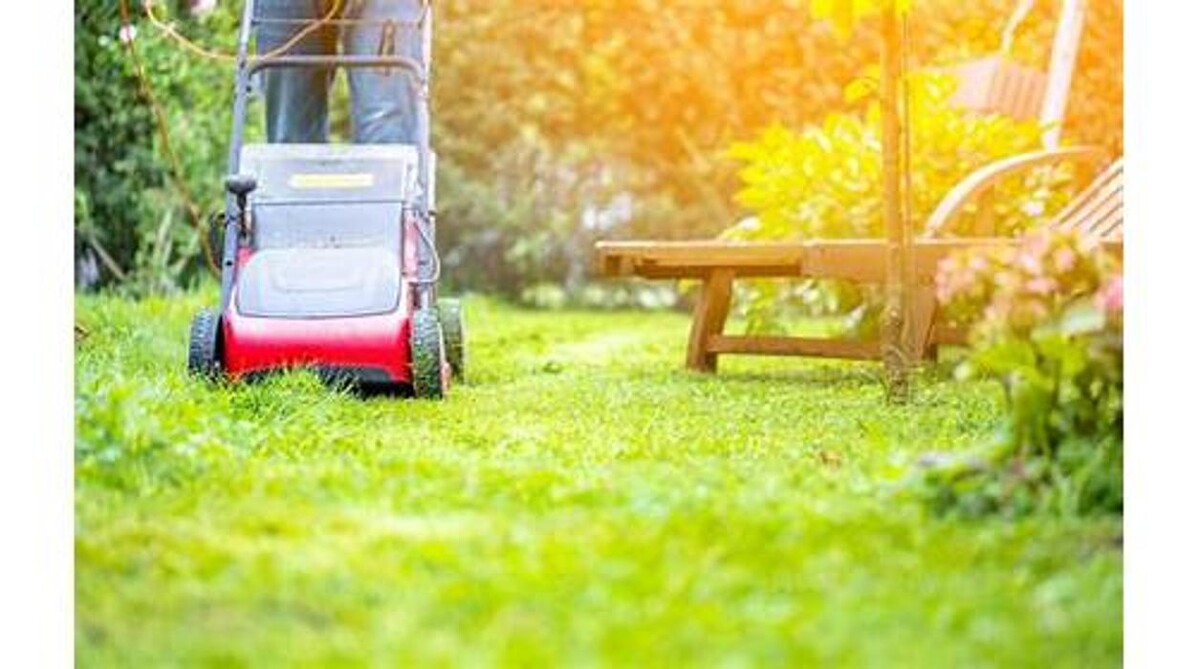 Bilder SpeedClean Gebäudereinigung - Christian Mailänder