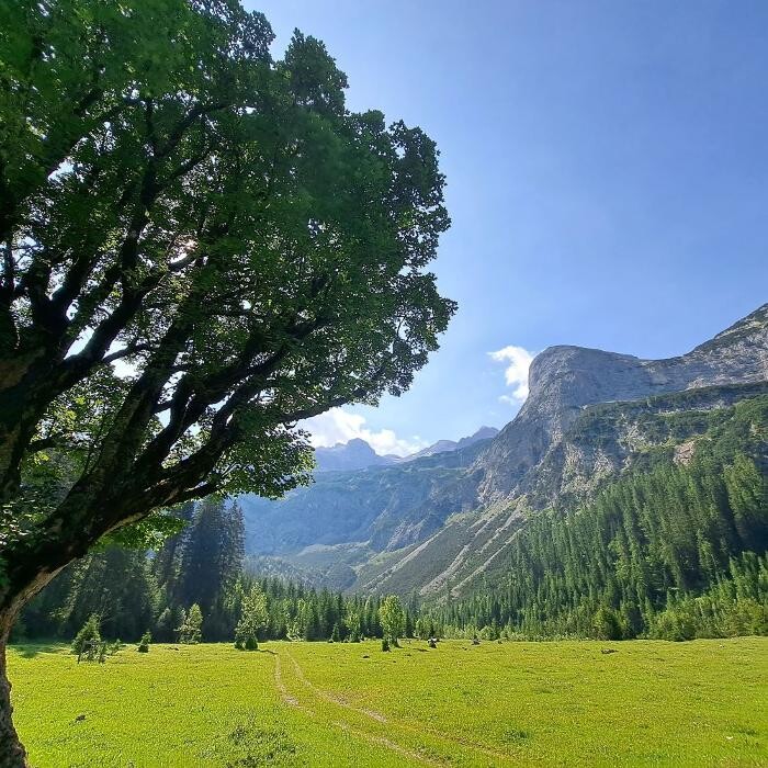 Bilder Gartendorf in Tirol de luxe - Kleingartensiedlung