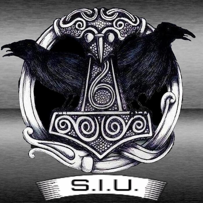 Bilder SIU-Team - Special Investigation Unit