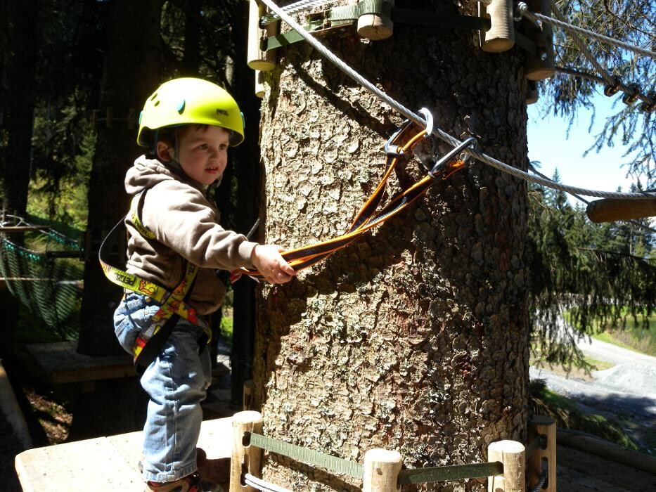 Bilder Hornpark Kletterwald