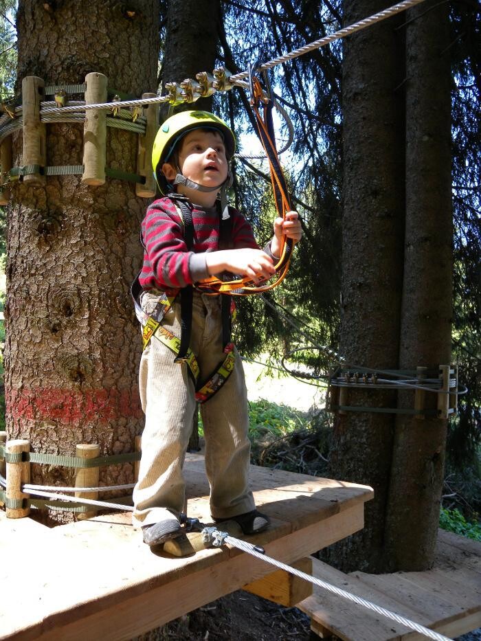 Bilder Hornpark Kletterwald
