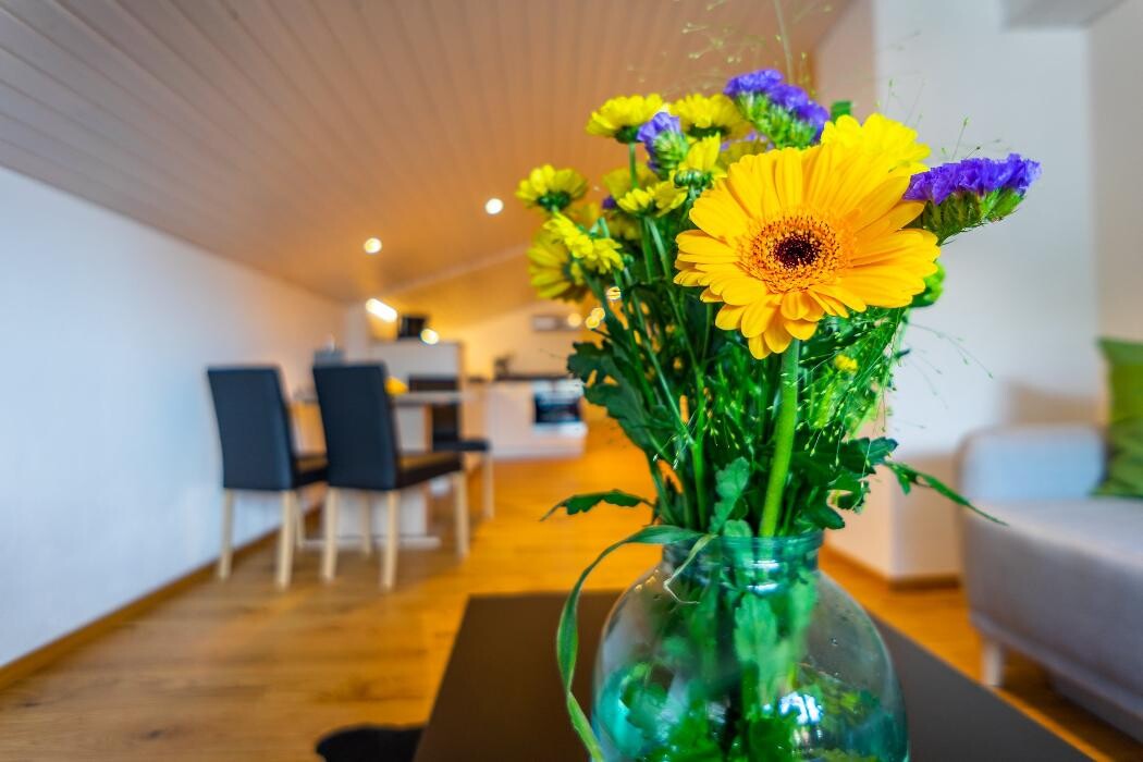 Bilder Ferien-Appartement Rosa