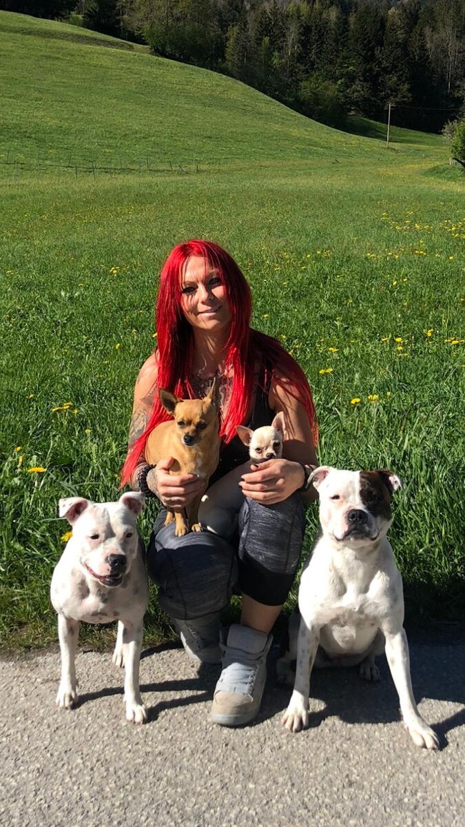 Bilder Fitness Dogs Performance