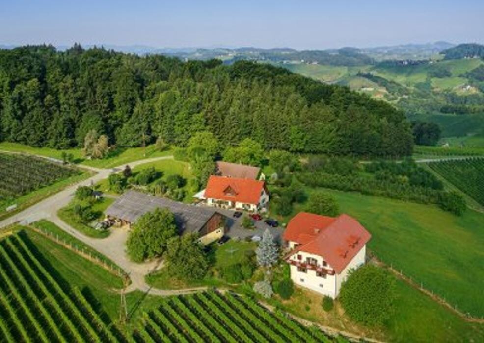 Bilder Weingut Pilch
