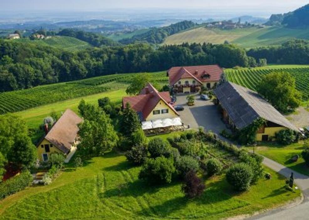 Bilder Weingut Pilch