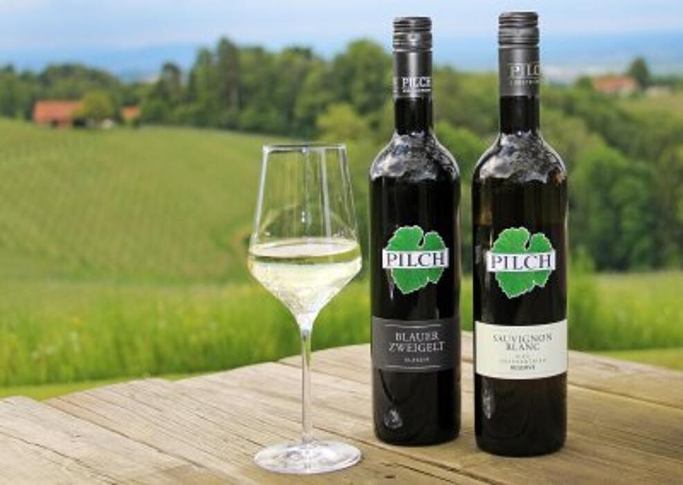 Bilder Weingut Pilch