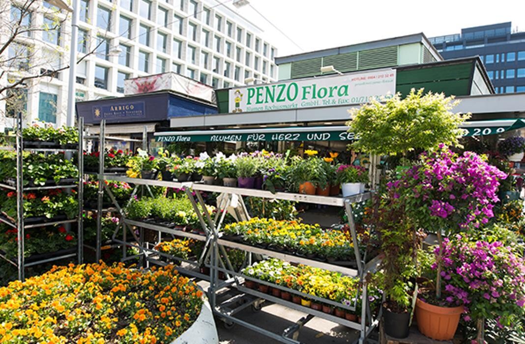 Bilder PENZO Flora Blumen Rochusmarkt GmbH