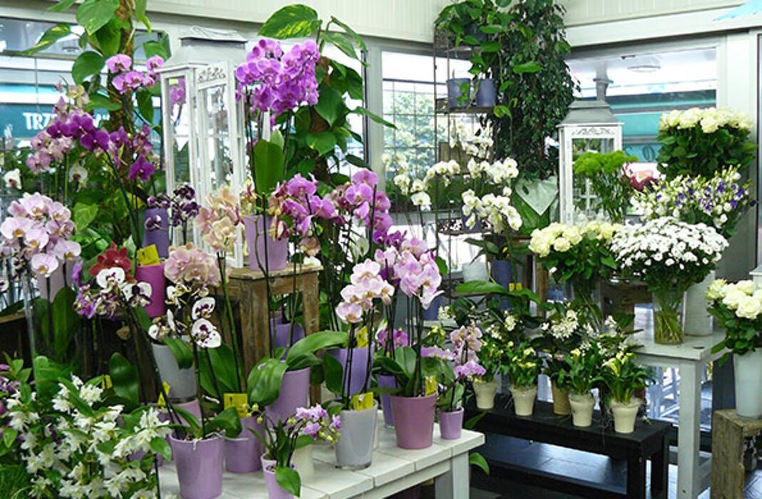 Bilder PENZO Flora Blumen Rochusmarkt GmbH