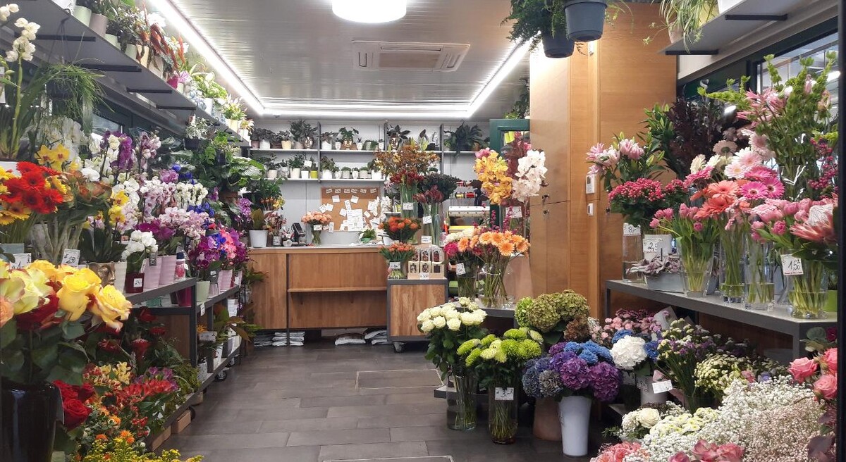 Bilder PENZO Flora Blumen Rochusmarkt GmbH