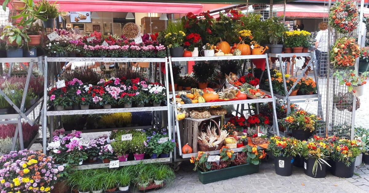 Bilder PENZO Flora Blumen Rochusmarkt GmbH