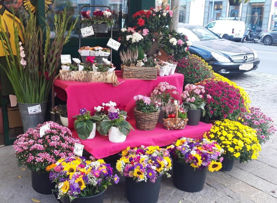 Bilder PENZO Flora Blumen Rochusmarkt GmbH