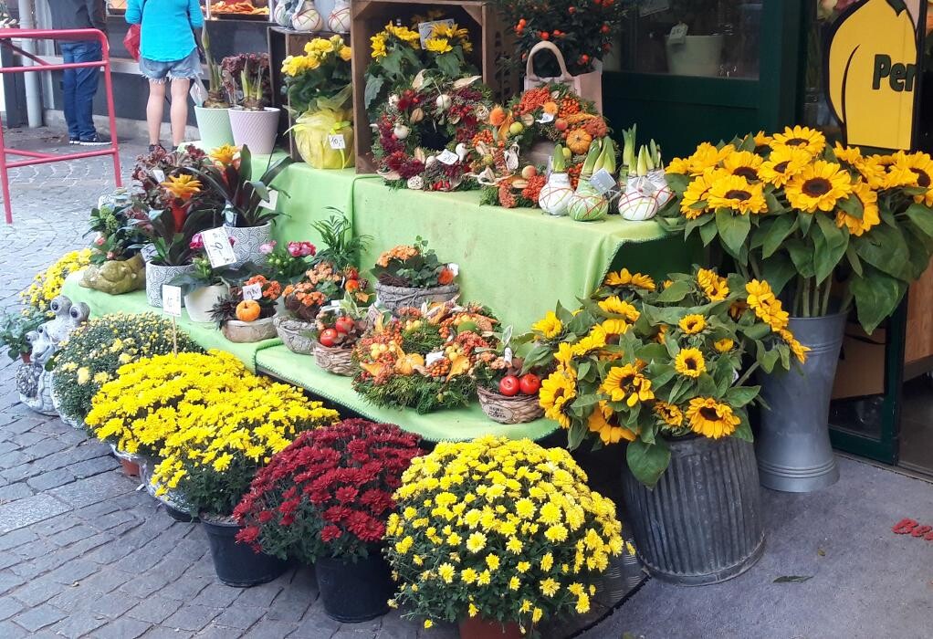 Bilder PENZO Flora Blumen Rochusmarkt GmbH