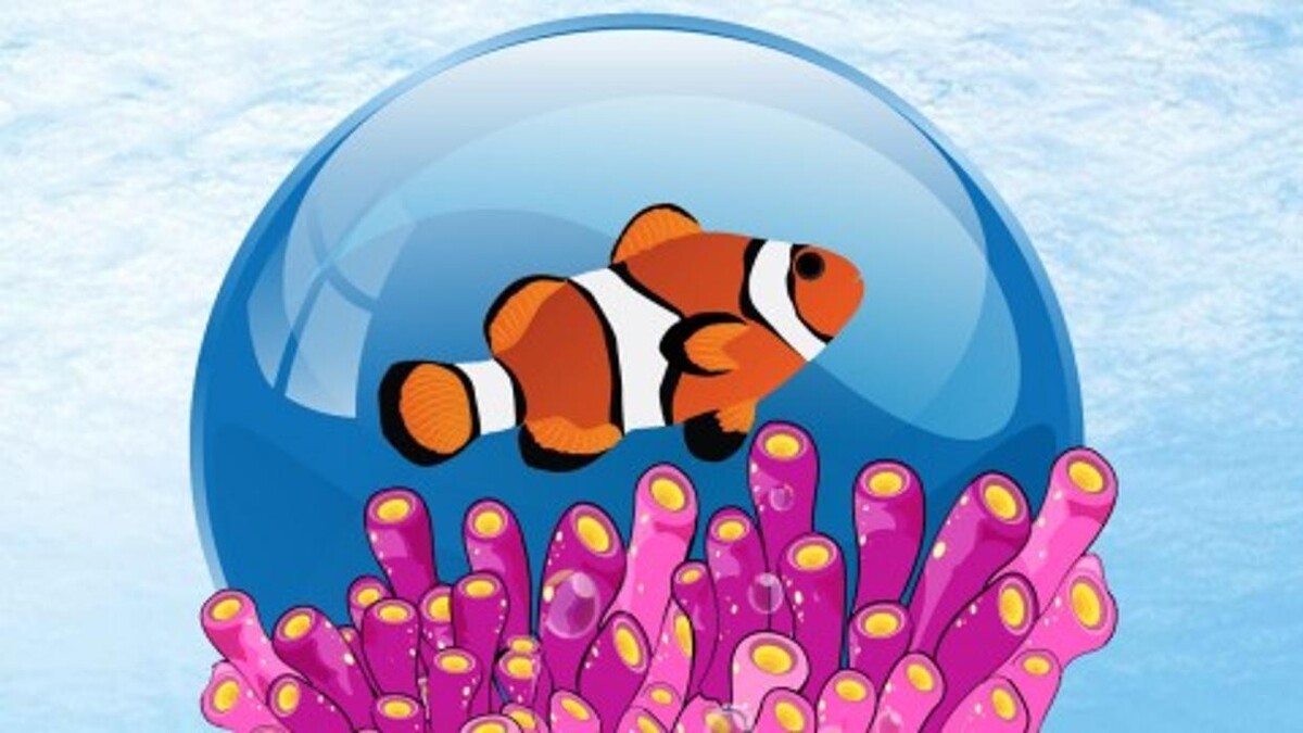 Bilder Riff-Toys Meeresaquaristik