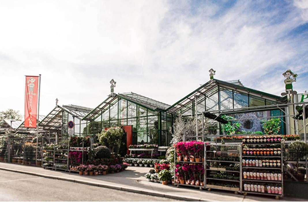 Bilder PENZO Flora Blumen Flötzersteig GmbH