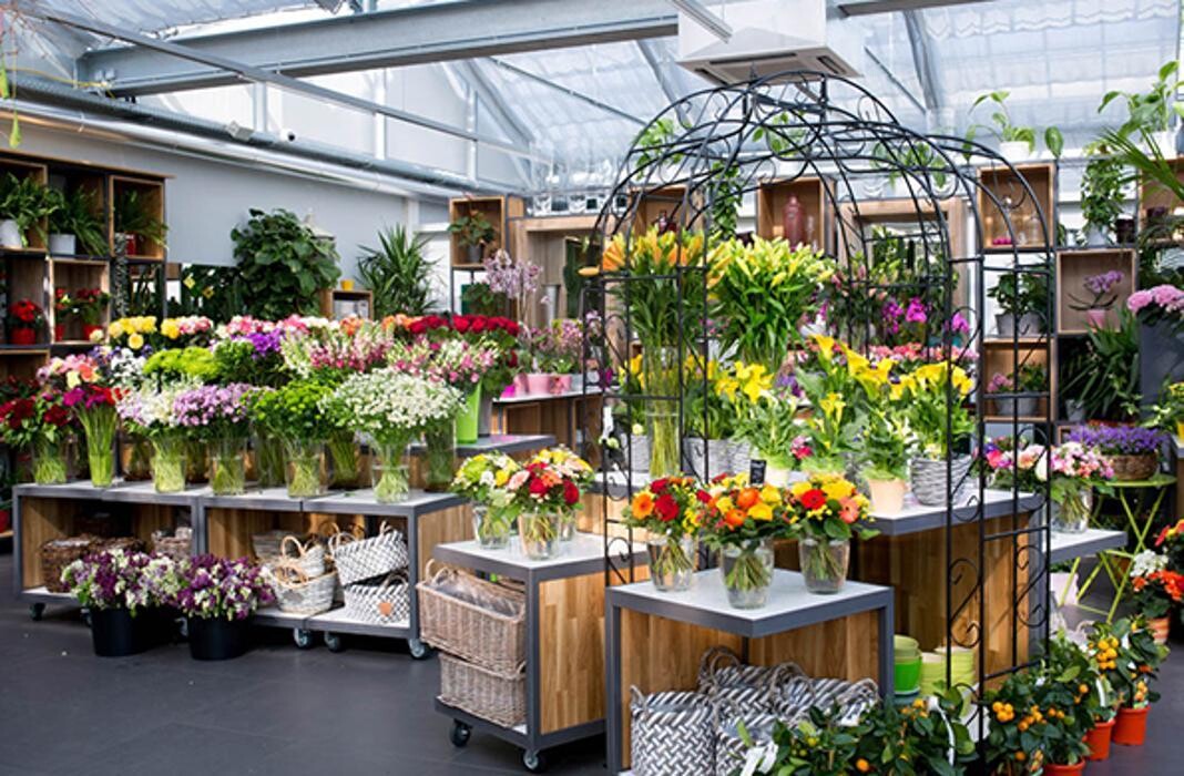 Bilder PENZO Flora Blumen Flötzersteig GmbH