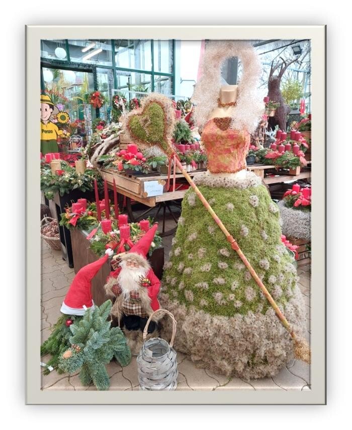 Bilder PENZO Flora Blumen Flötzersteig GmbH