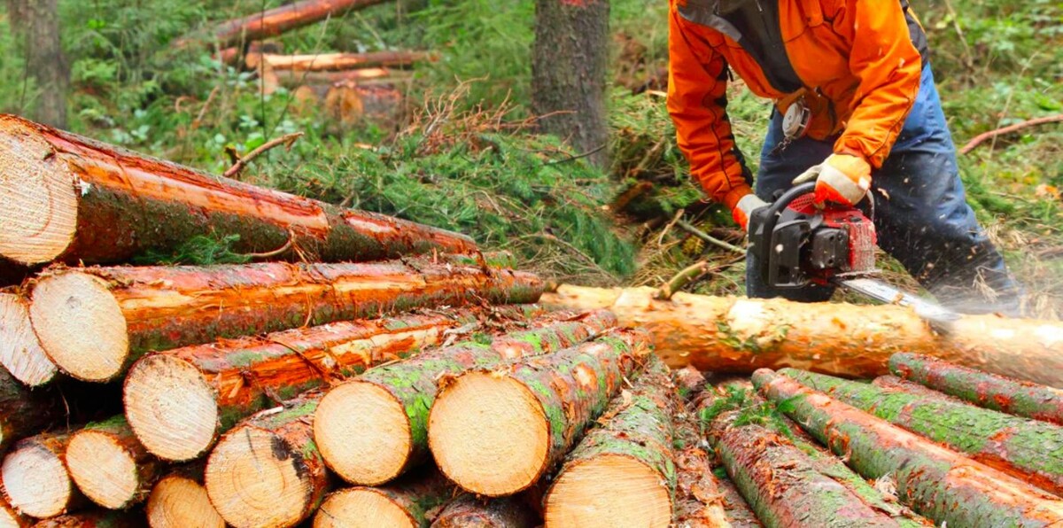 Bilder Forstbetrieb Brunner