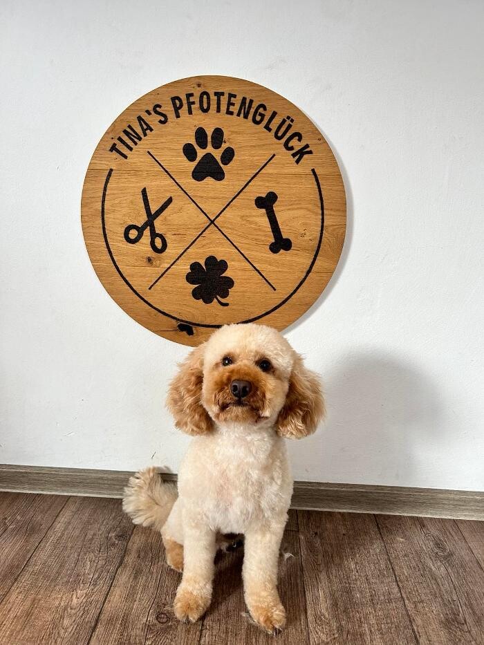 Bilder Hundefriseur Tinas Pfotenglück