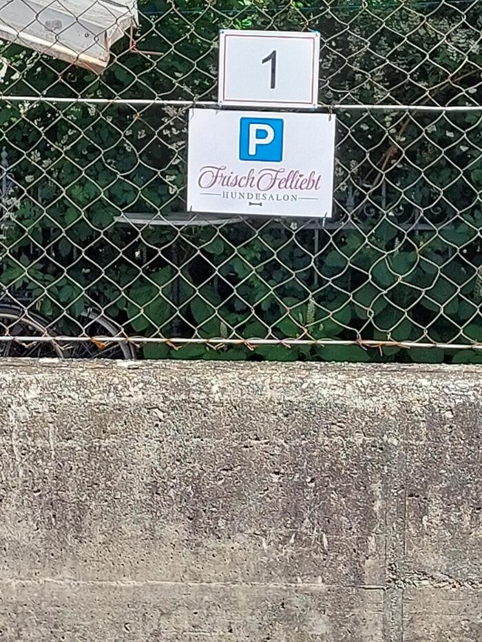 Bilder Frisch Felliebt Hundesalon