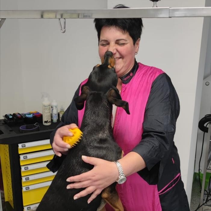 Bilder Frisch Felliebt Hundesalon