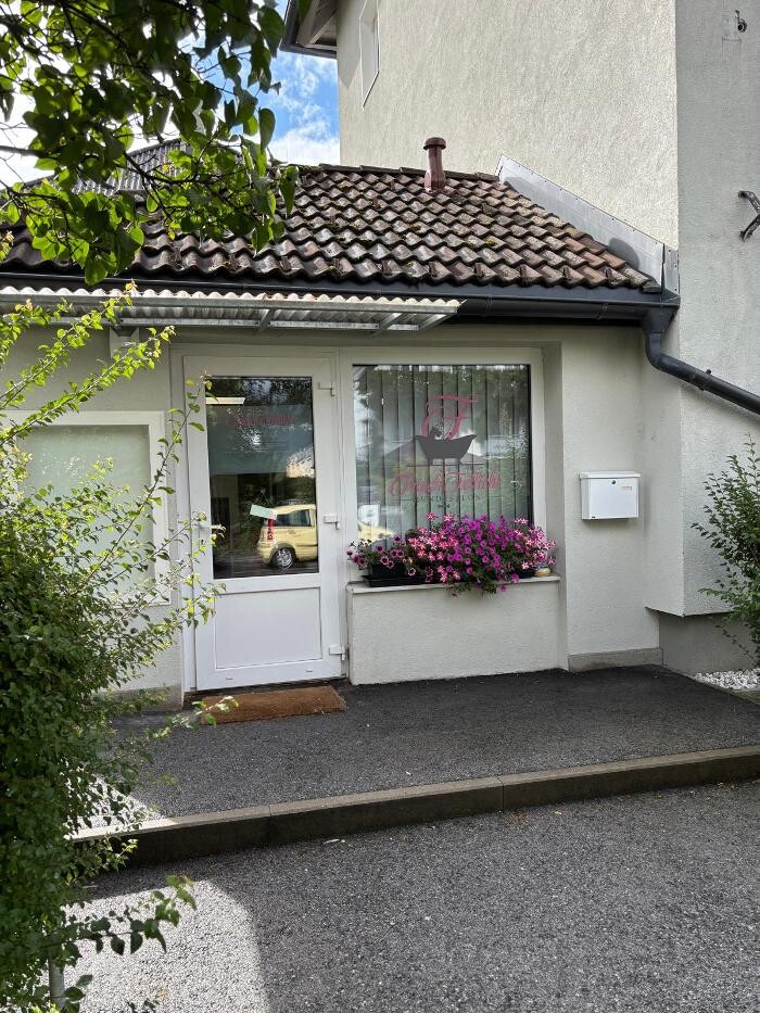 Bilder Frisch Felliebt Hundesalon