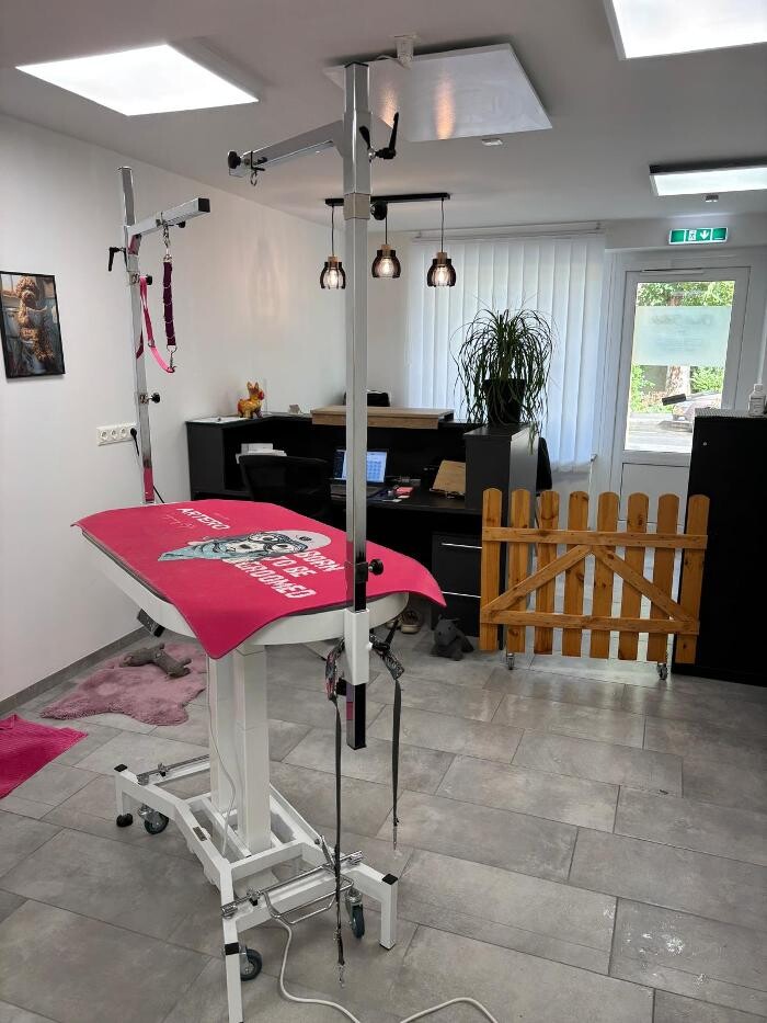 Bilder Frisch Felliebt Hundesalon