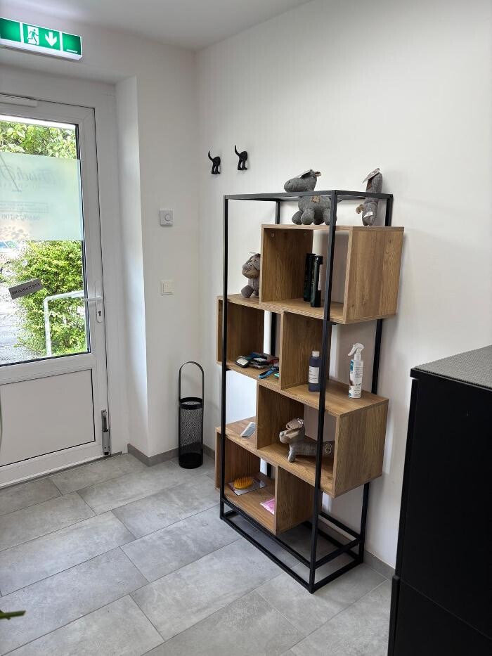Bilder Frisch Felliebt Hundesalon