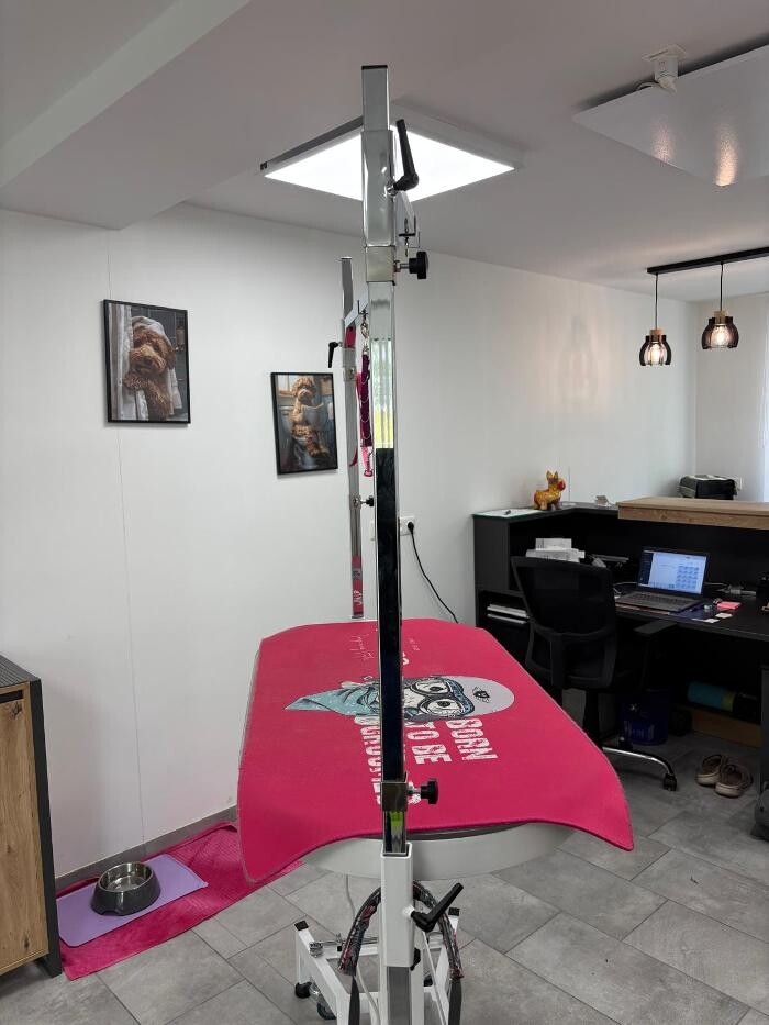 Bilder Frisch Felliebt Hundesalon