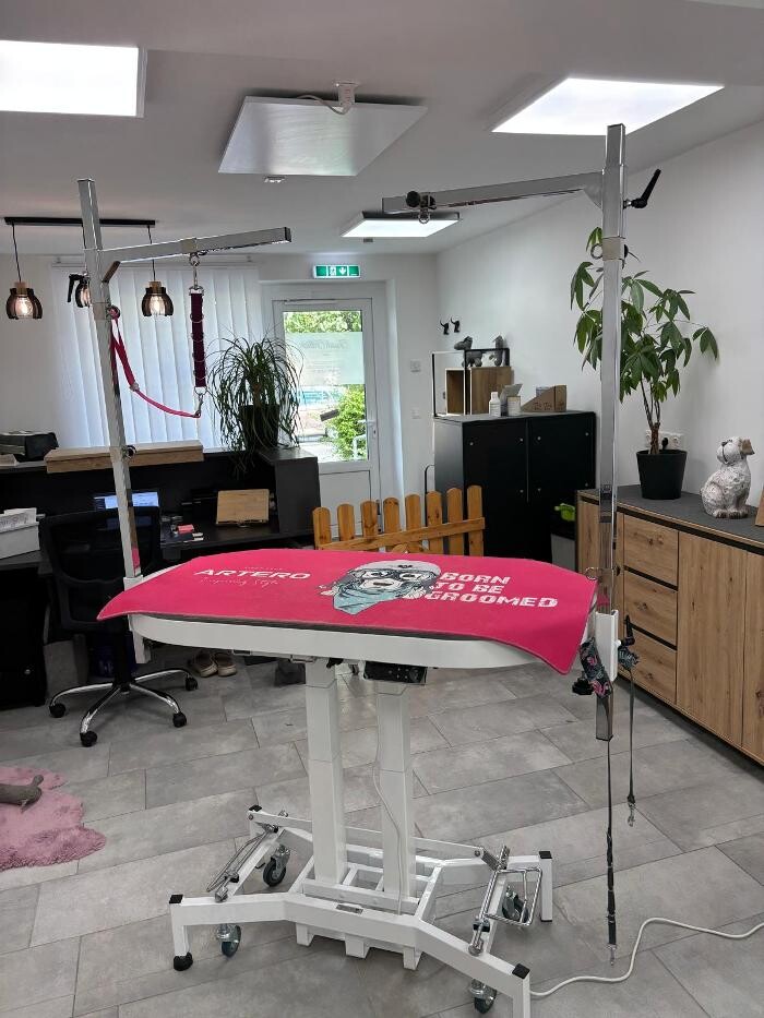 Bilder Frisch Felliebt Hundesalon
