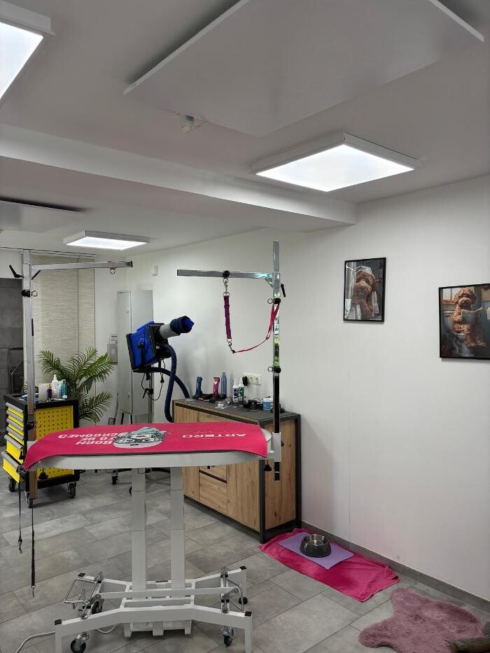 Bilder Frisch Felliebt Hundesalon