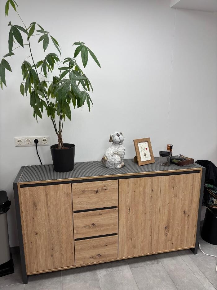 Bilder Frisch Felliebt Hundesalon