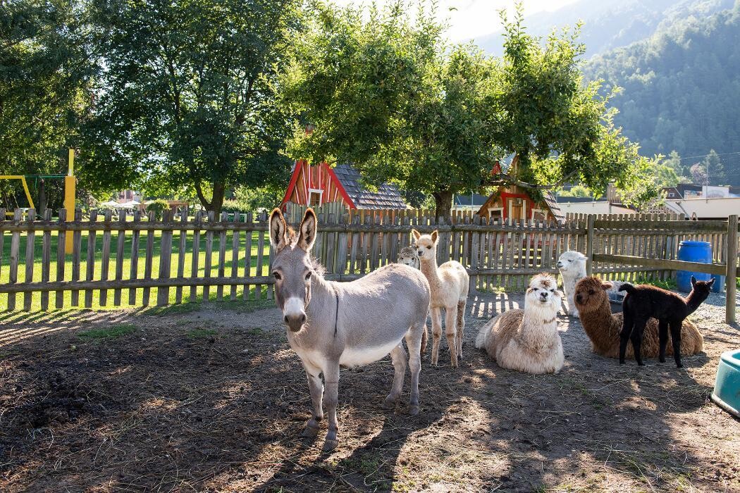 Bilder Hotel Familiengut Burgstaller