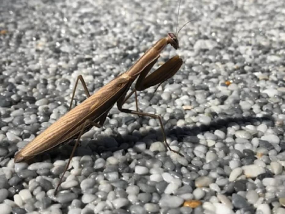 Bilder Bodentechnik Kapler