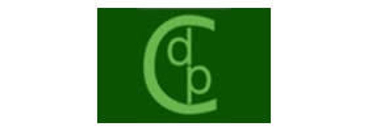 dpconsulting e.U. Logo