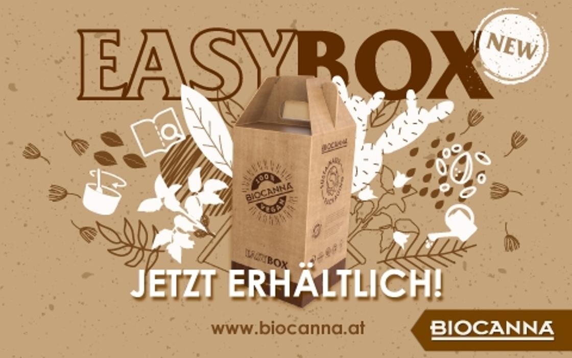 Bilder Healthy-Plant Gesünder Leben Pannhartek