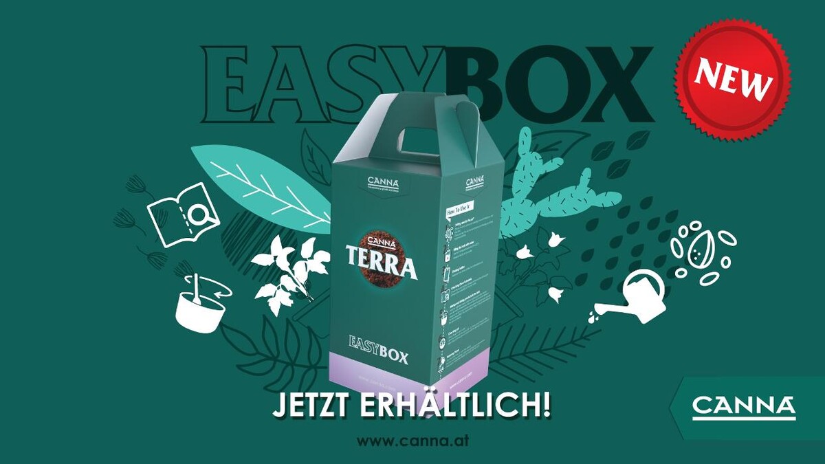 Bilder Healthy-Plant Gesünder Leben Pannhartek