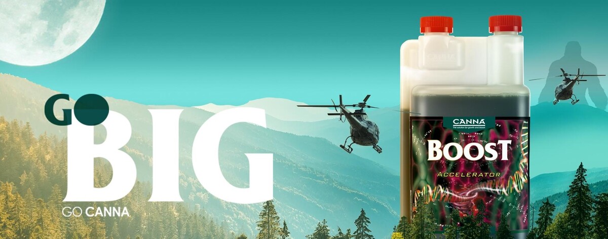 Bilder Healthy-Plant Gesünder Leben Pannhartek