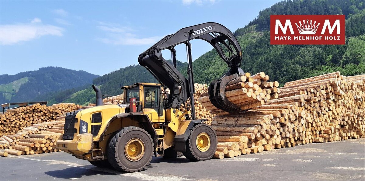 Bilder Mayr-Melnhof Holz Gaishorn GmbH