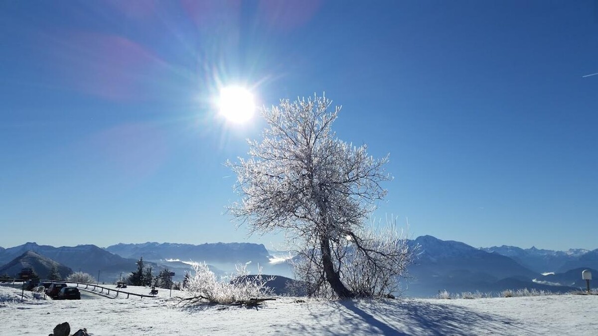 Bilder Kohlmayr's Gaisbergspitz