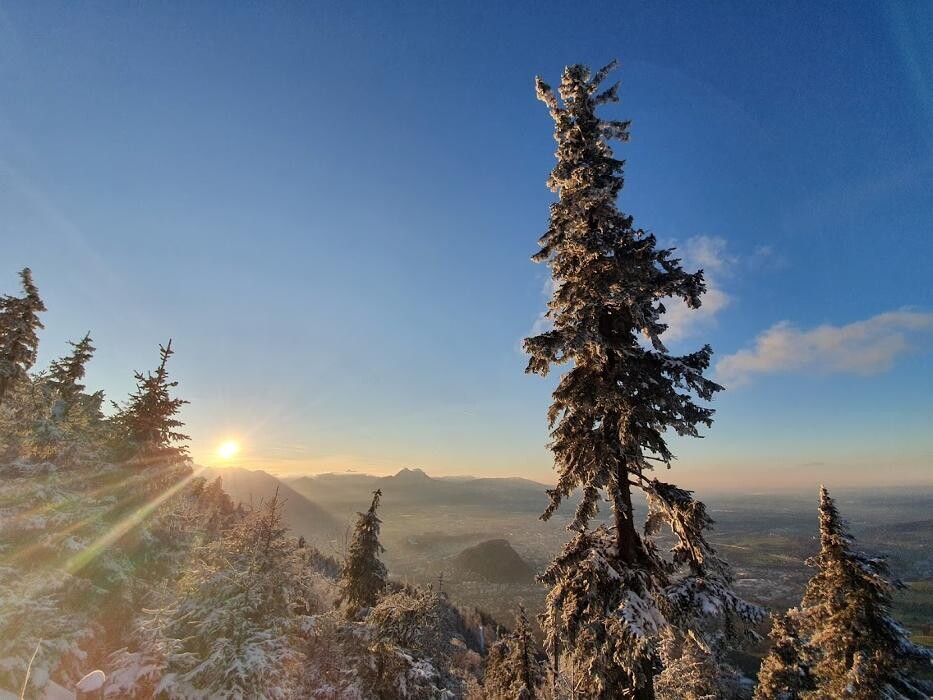 Bilder Kohlmayr's Gaisbergspitz