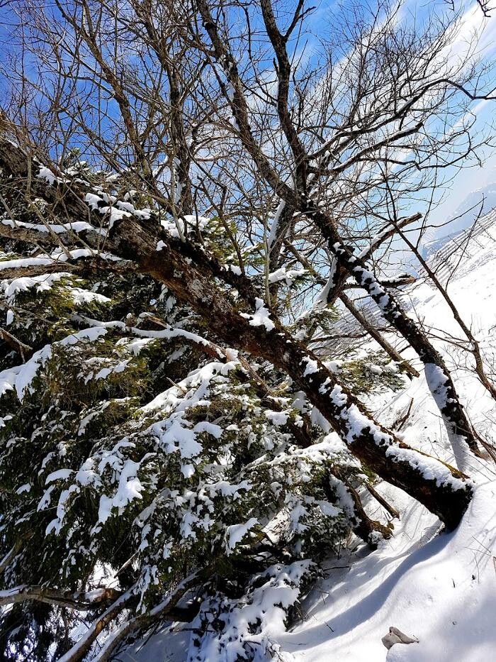 Bilder Kohlmayr's Gaisbergspitz