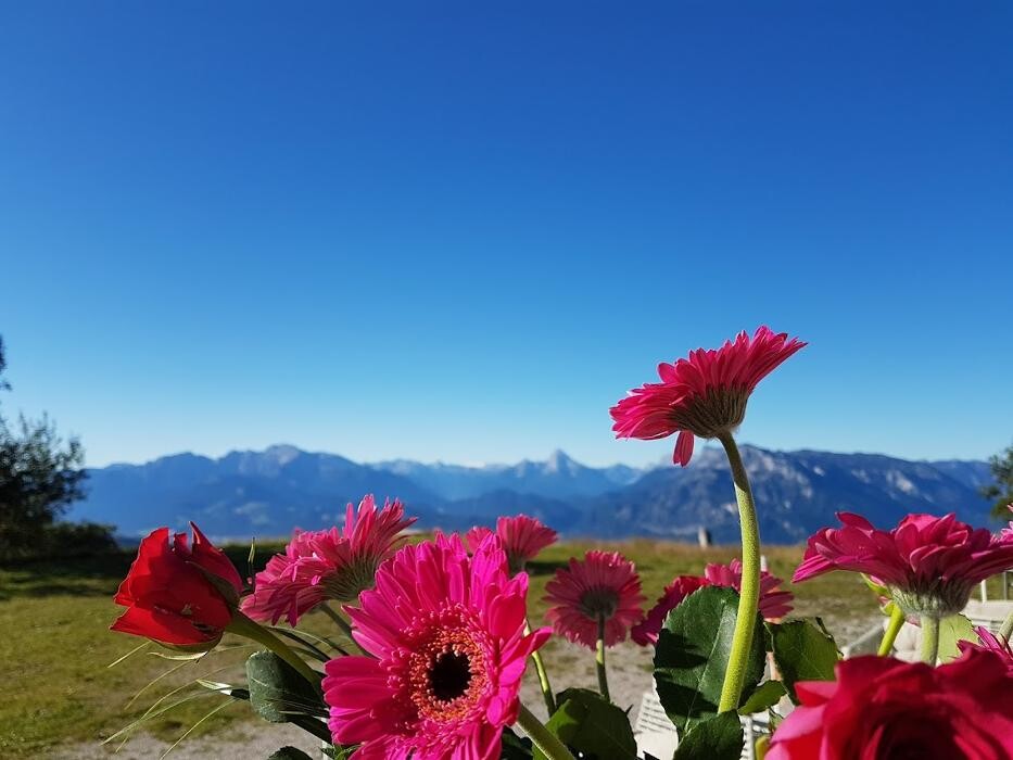 Bilder Kohlmayr's Gaisbergspitz