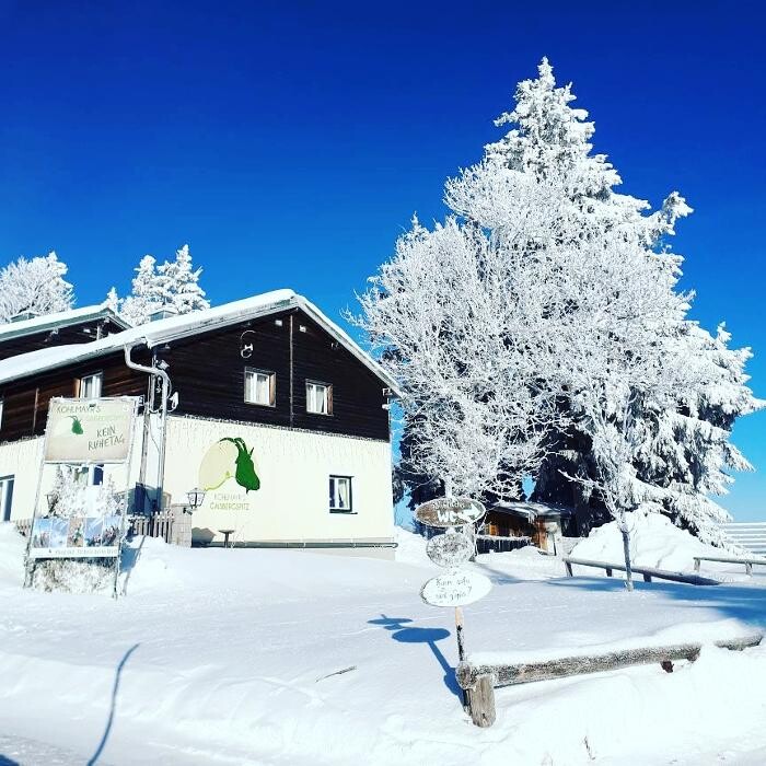 Bilder Kohlmayr's Gaisbergspitz